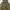 parka zara woman army photo 6