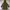 parka zara woman army photo 1
