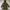 Parka Zara Woman Army