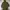 parka zara woman army photo 3