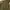 parka zara woman army photo 8