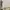 Jacket winter anak revesible bew balance x weekend hous kids photo 8