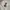 Jacket winter anak revesible bew balance x weekend hous kids photo 7