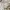 Jacket winter anak revesible bew balance x weekend hous kids photo 6