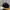 Topi New Era NFL Dallas Cowboys  photo 2
