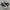 Converse Chuck Taylor All Star 70S High Black White Original photo 2