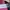 Ransel jansport pink white photo 6