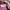 Ransel jansport pink white photo 5