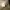 Casual Short Pria cream photo 3