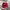 Vintage Hat Pria Red