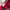 Vintage Hat Pria red photo 3