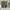 Rotcho BDU M65 Trousers photo 5