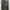 Hunter Green Dickies 874 Original Fit photo 4