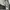 Hunter Green Dickies 874 Original Fit photo 8