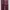Maroon Dickies 874 Original F photo 7