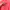 Forever 21 Streetwear Blouse Wanita pink photo 4