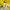 Gamis Syari Lime dengan Detail Renda photo 5