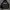 Hoodie Dickies  photo 1