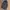 Beams Heart Heat Padded Vest Puffer Chambray Jacket photo 6