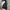 Adidas Skateboard Jersey photo 7