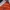Adidas Ringer Orange Stripes photo 6