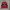 Coca-Cola x Primark Sweatshirt photo 1