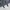 Dickies Fisher Stripes Linear Logo Emb Jacket photo 3