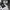 Dickies Fisher Stripes Linear Logo Emb Jacket photo 5