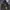 SSY Gorpcore Outdoor Jacket