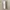 Rare Beauty Tinted Moisturizer Spf 20