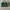 Coach mollie tote 25 multi green (preloved) photo 1