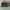 Coach Mollie Tote 25 Multi Green (preloved)