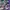 BALENCIAGA 3XL PURPLE WMNS , BALENCIAGA 3XL PURPLE  , BALENC photo 3