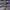 BALENCIAGA 3XL PURPLE WMNS , BALENCIAGA 3XL PURPLE  , BALENC photo 1