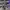 BALENCIAGA 3XL PURPLE WMNS , BALENCIAGA 3XL PURPLE  , BALENC photo 5