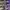 BALENCIAGA 3XL PURPLE WMNS , BALENCIAGA 3XL PURPLE  , BALENC photo 2