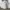 Top White photo 2