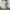 Top White photo 1