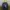 Vintage Reebok Shaquille O’Neal Orlando Magic photo 1
