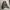 Baggy Harem Pants Wanita Brown Y2K Drop Crotch Balloon