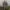 Hoodie GAP Cammo photo 1