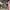 Hoodie GAP Cammo photo 4