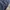 Dickies Cargo Pants Double Knee photo 7