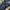 Dickies Cargo Pants Double Knee photo 6