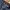 Dickies Cargo Pants Double Knee photo 4