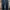 Dickies Cargo Pants Double Knee photo 1