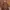 Celana Harem Thailand Katun Shimmer Baggy Ballonon Y2K  photo 2