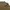 Polo Burberry London Olive green photo 1