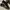 Vans SkateBoarding pop cusion photo 1