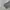 HOODIE NIKE BIG LOGO GREY photo 3